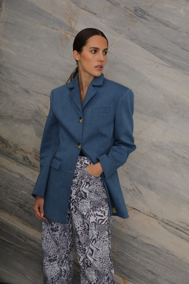 CHRISTOPHE BLAZER